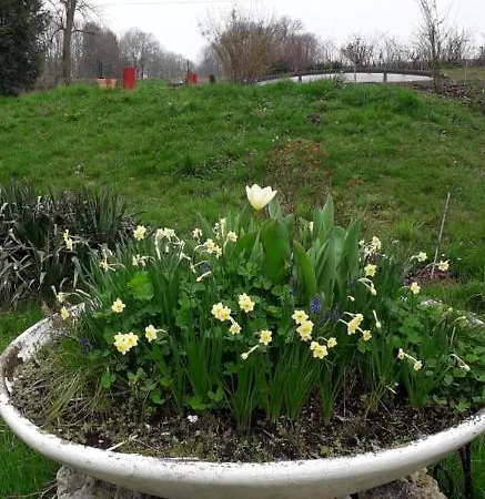 Les Chevaliers Fous 圣梅内乌勒